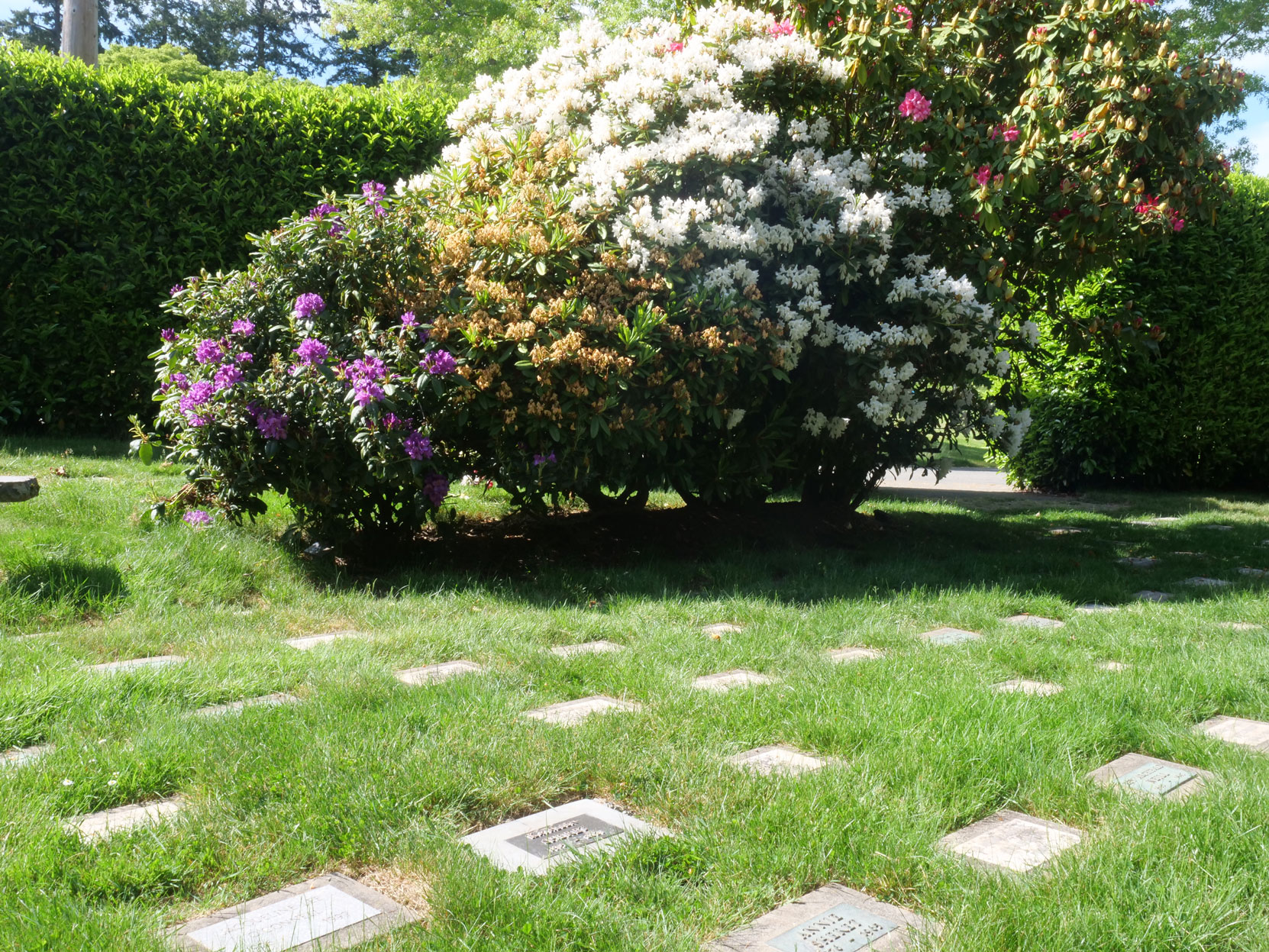 Andrew Sheret grave marker, Royal Oak Burial Park, Saanich, B.C. [photo: Mark Anderson]